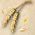 wheat_seeds_70x70.png