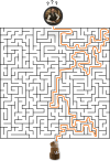 Labyrinth_Task_Fannie_Smell.png