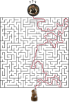 Labyrinth_Task_ok.png