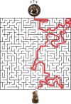 Labyrinth_Task (1).png